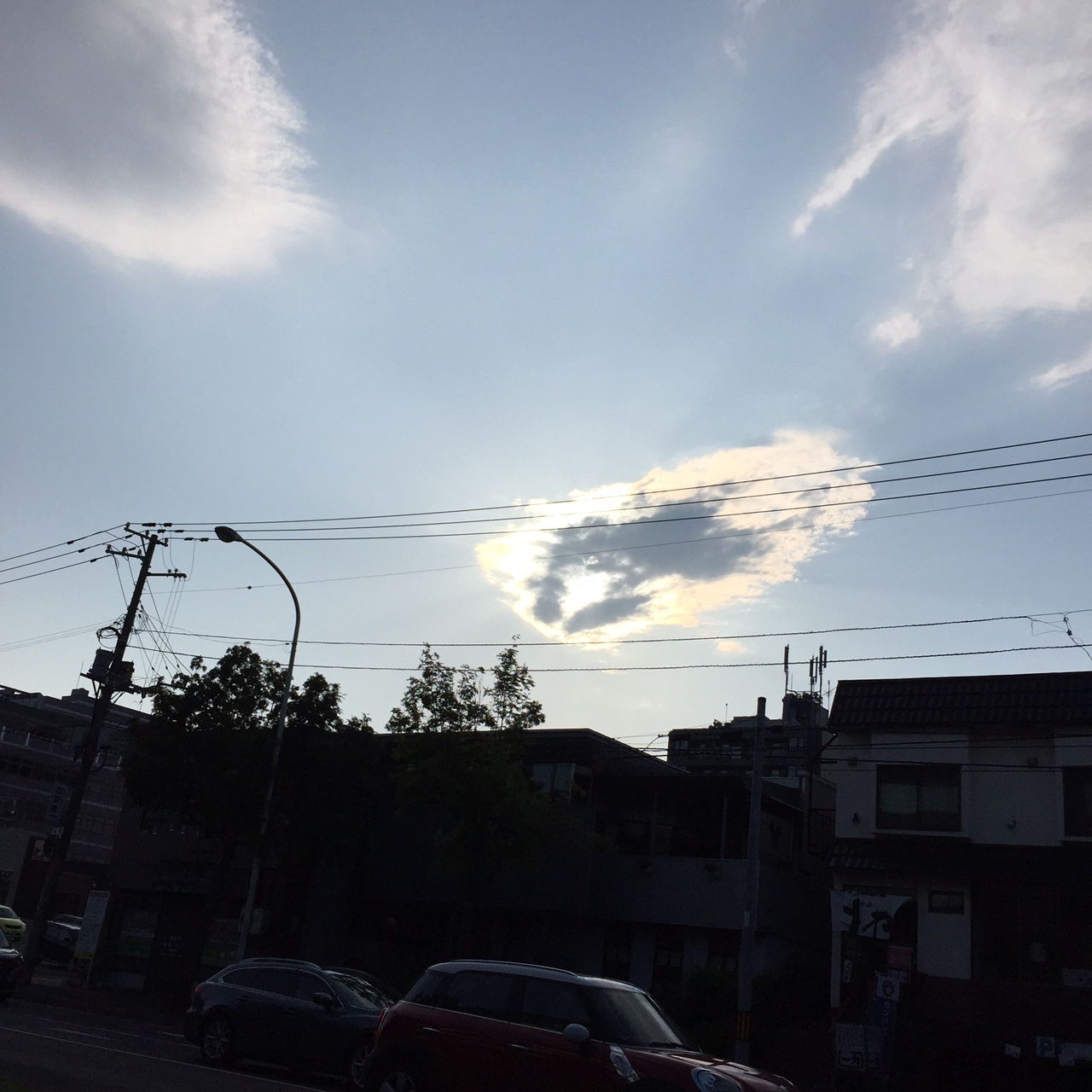 白いものといえば 565北海道