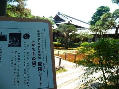 探険シートはじめました_e0135219_1345234.jpg
