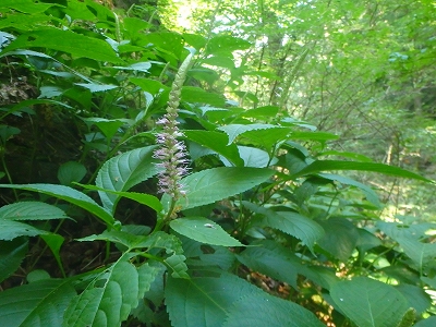 f0193521_19171087.jpg