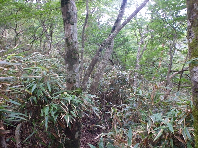 f0193521_8253211.jpg