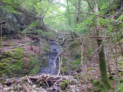 f0193521_8312595.jpg