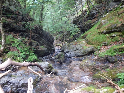 f0193521_8333277.jpg