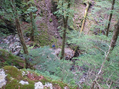 f0193521_8362748.jpg