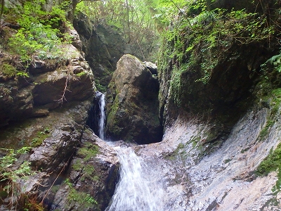 f0193521_8382165.jpg