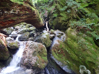 f0193521_8395434.jpg