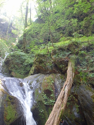 f0193521_8402150.jpg