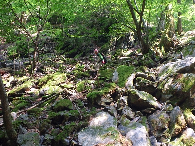 f0193521_8422182.jpg