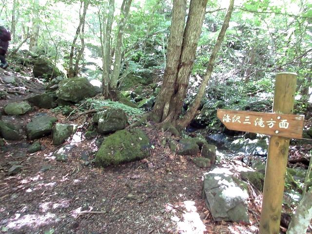奥多摩 海沢川で泳げない私の刺激的な夏 Stream Climbing in