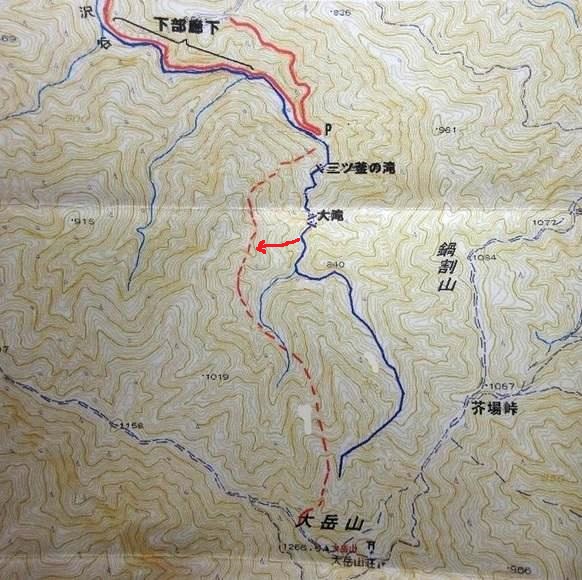 ♦︎ OGAWA / 湿地帯と金魚 Lernaea cyprinacea Kansyougyonobyoukitaisaku (Japanese