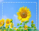 a0115924_23044091.png