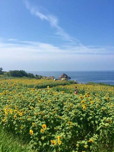 d0090824_13473195.jpg