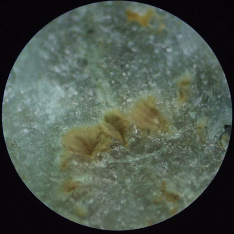 d0045626_21541566.jpg