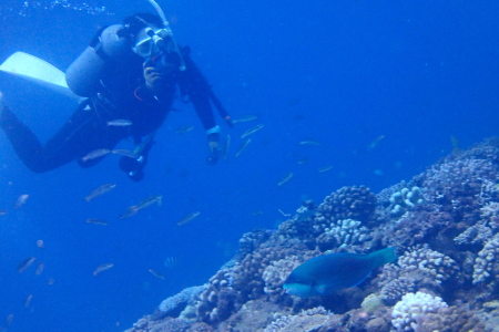 16.8.12 Parrotfish girls diving at the beach_b0100730_2183743.jpg