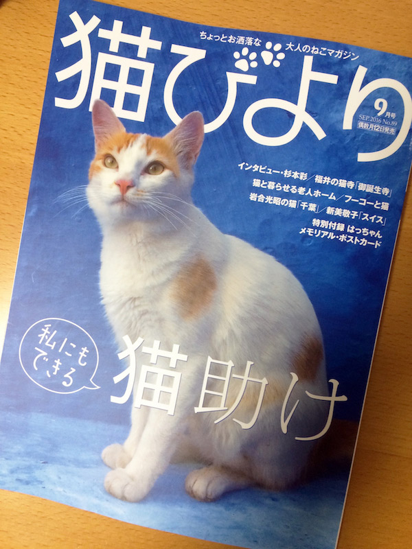 『猫びより』で連載開始しました_a0014734_1220773.jpg