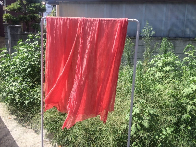 a0226637_08172107.jpeg
