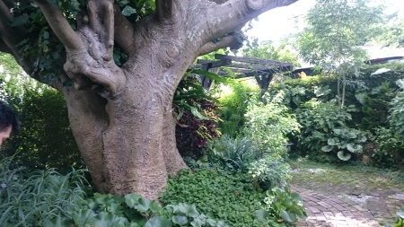 e0260937_09091425.jpg