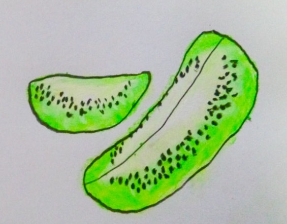 月刊 Fruits Life No.47_a0347953_15324715.jpeg