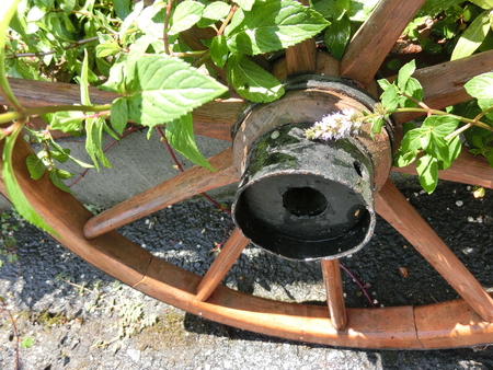 b0167759_11235610.jpg