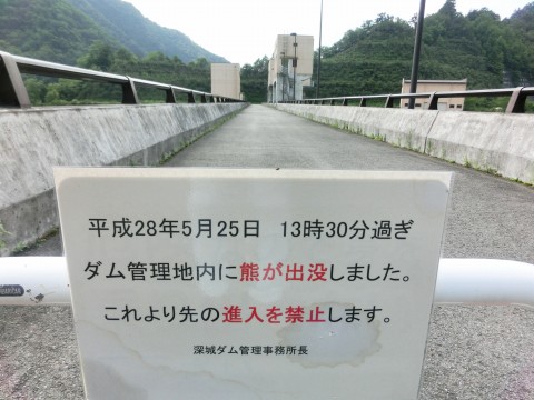 e0045768_22495692.jpg