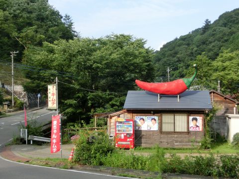 e0045768_227287.jpg