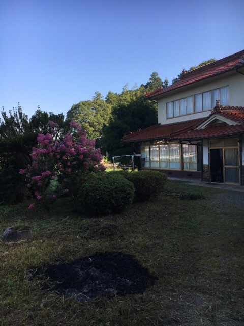 Lanに会いたし_f0363168_07210858.jpeg
