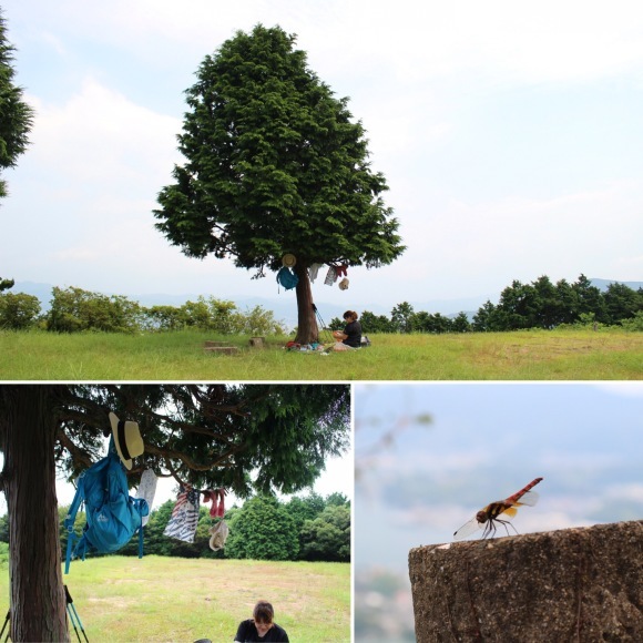 鳴鼓岳４　（長崎県西彼杵郡）_d0349370_10121456.jpg