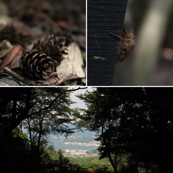 鳴鼓岳４　（長崎県西彼杵郡）_d0349370_10122357.jpg