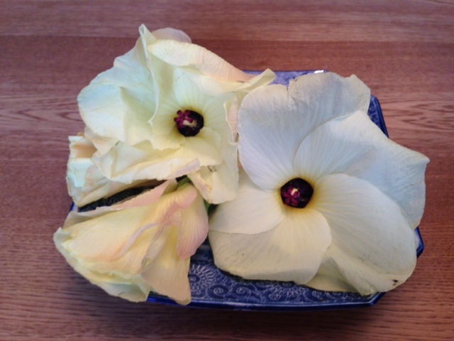 オクラの花_b0328381_15163674.jpg