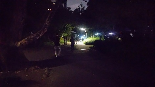 e0020682_19231797.jpg