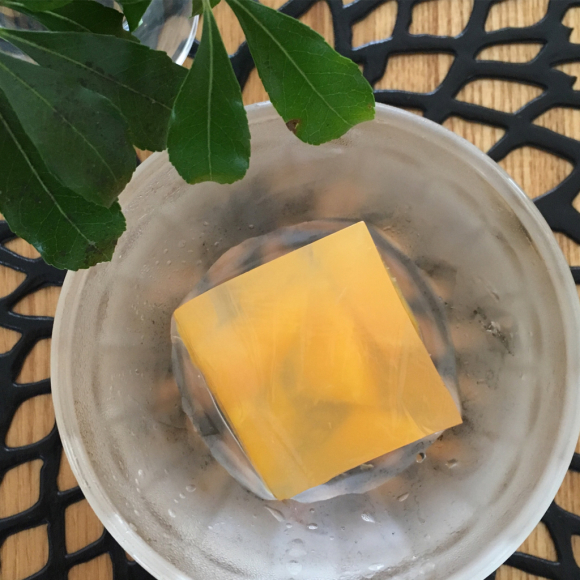 復習で夏の味覚満喫中_b0065587_05592119.jpg