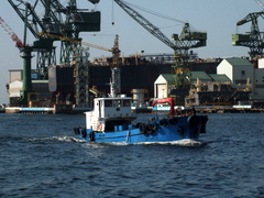 b0192588_9305792.jpg