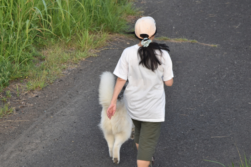 c0049299_21592013.jpg
