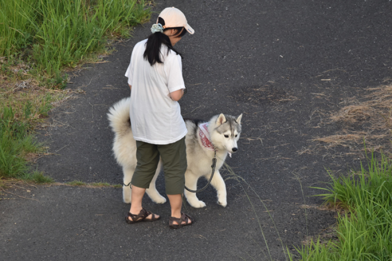 ちょっとだけよ～♪　(*^_^*)_c0049299_22025172.jpg