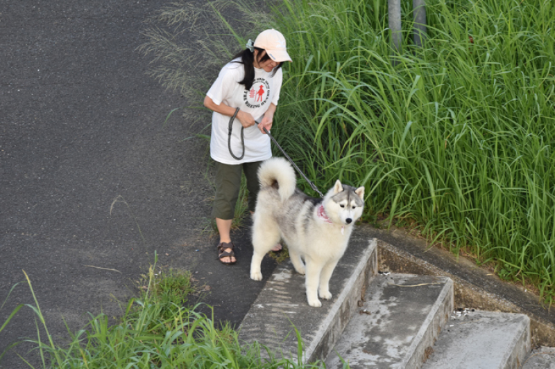 ちょっとだけよ～♪　(*^_^*)_c0049299_22035089.jpg