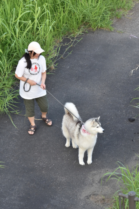 ちょっとだけよ～♪　(*^_^*)_c0049299_22083411.jpg