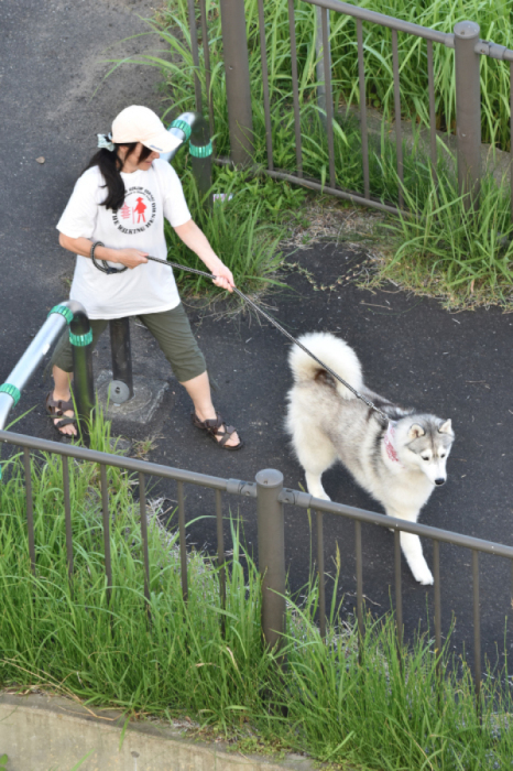 ちょっとだけよ～♪　(*^_^*)_c0049299_22103906.jpg