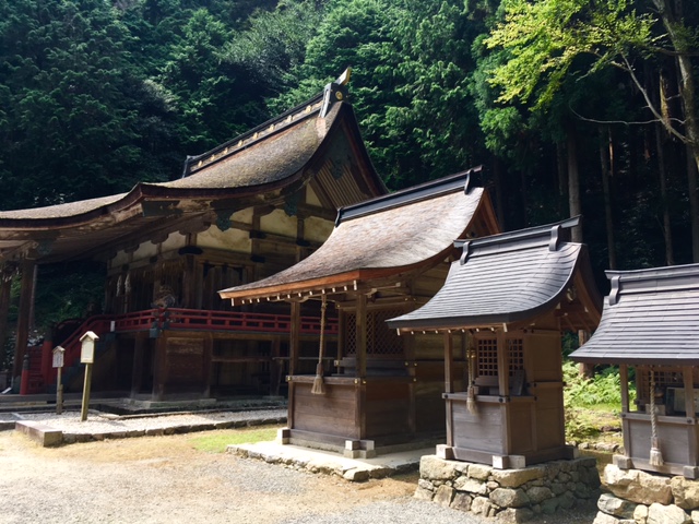 滋賀湖西を行く_a0050302_12232389.jpg