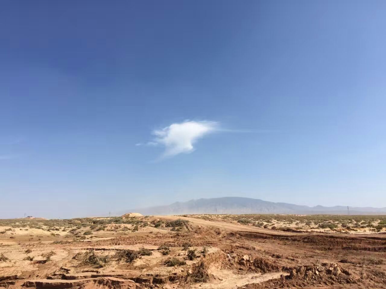 c0332203_17162665.jpg