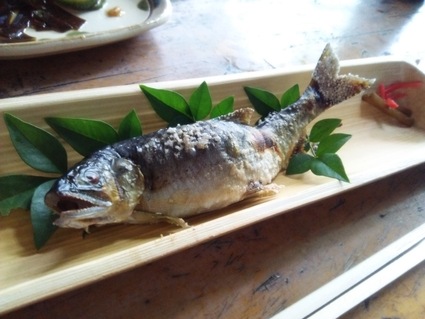 オットと宮ヶ瀬巡り。_c0212604_123773.jpg