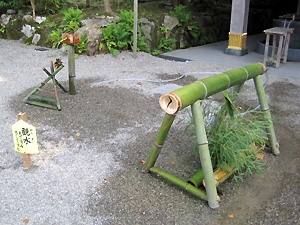 a0177205_15325725.jpg