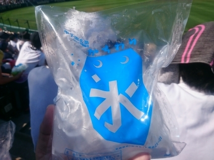 8/12 阪神甲子園球場グルメ_b0042308_08535522.jpg
