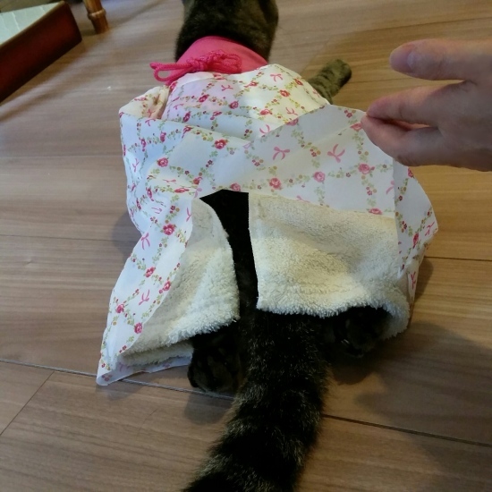 e0144012_10354093.jpeg
