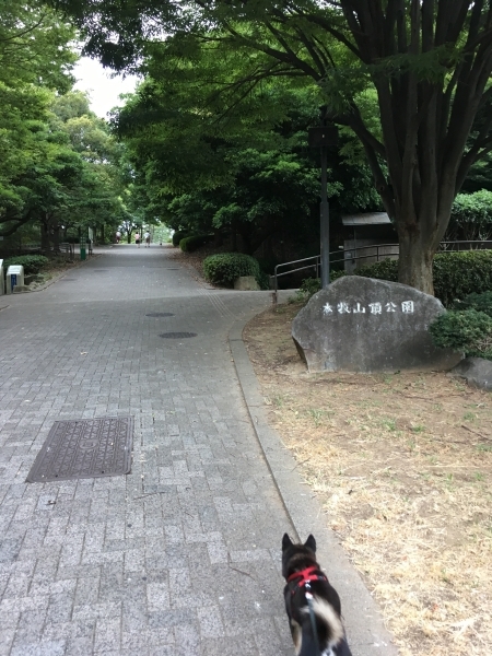 f0369014_15084755.jpg