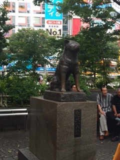 a0315420_11076.jpg