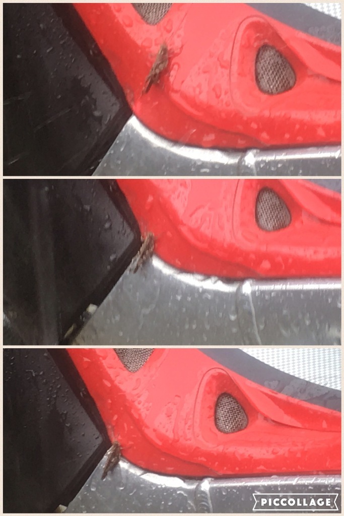 d0222526_01013148.jpeg