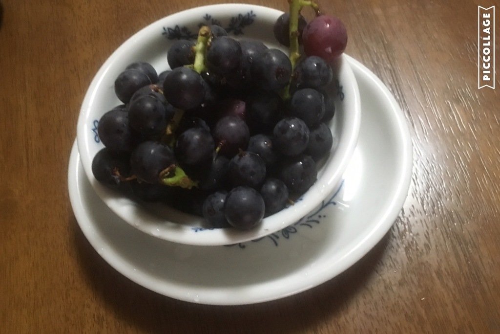 d0222526_01013442.jpeg