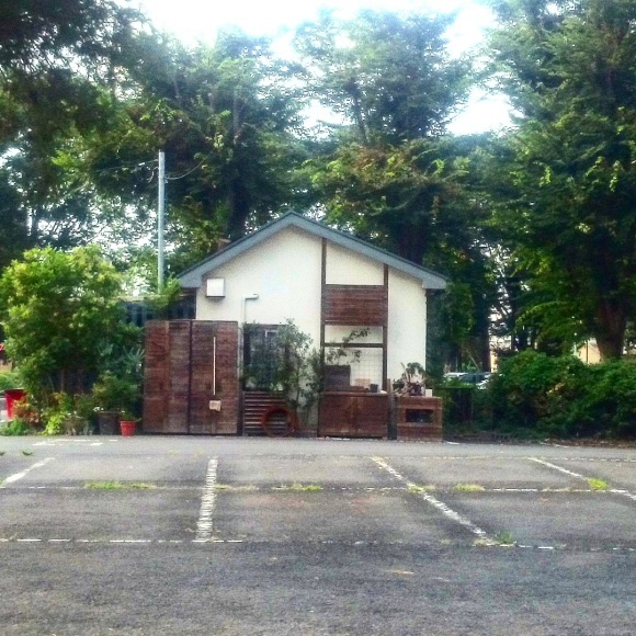 夏休み後半_c0102228_16382083.jpg
