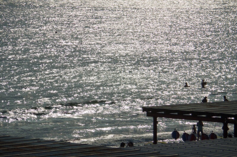 f0338831_20070967.jpg
