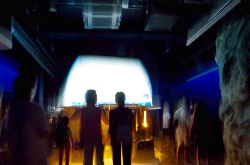 f0338831_20144123.jpg