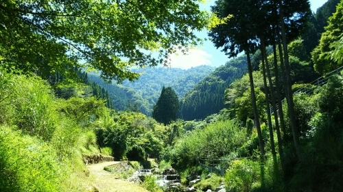 涼を求めて_e0334332_00384577.jpg